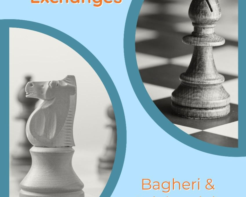 understanding-chess-exchanges-by-amir-bagheri-reza-salehzadeh-miekka-okladka-9781784831981.jpg